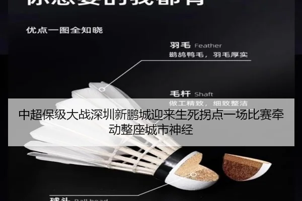 中超保级大战深圳新鹏城迎来生死拐点一场比赛牵动整座城市神经 | kaiyun